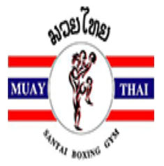 Best Asian Sports Blog 2018 muay-thai-santai.com